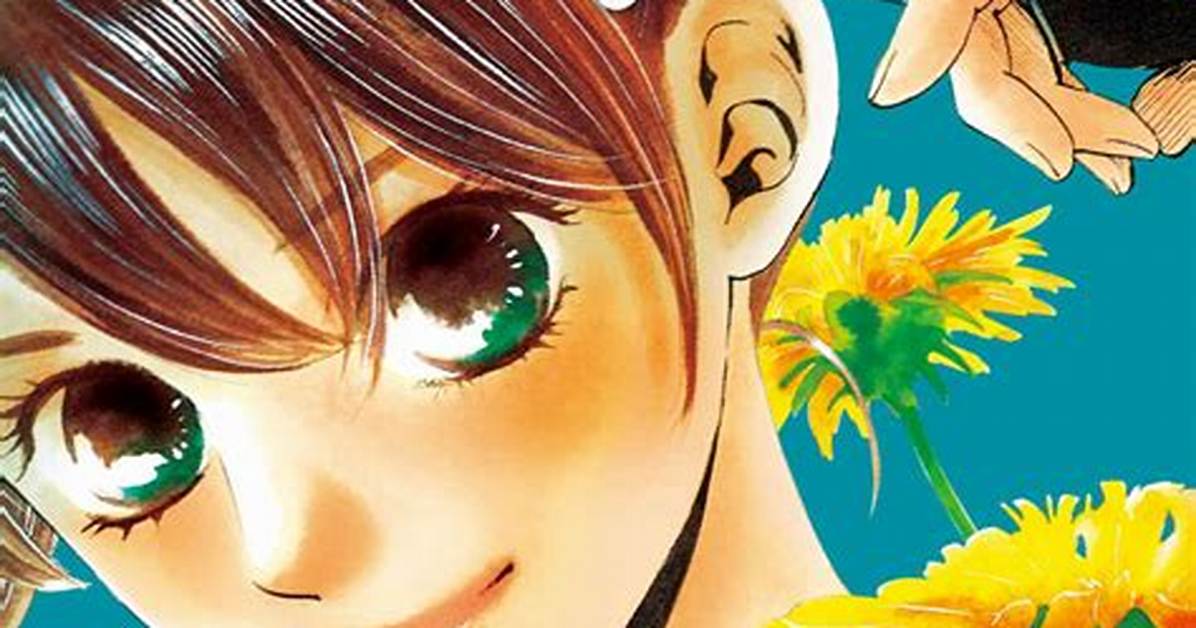 Chihayafuru Xin