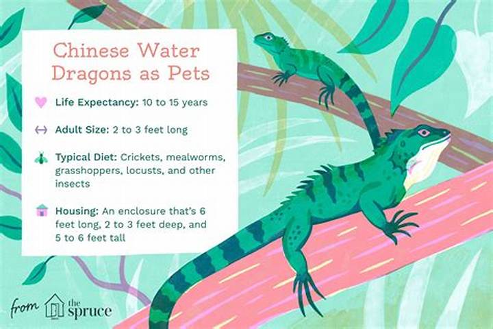 Chinese Water Dragon in Water: Behavior, Habitat, and What to Expect