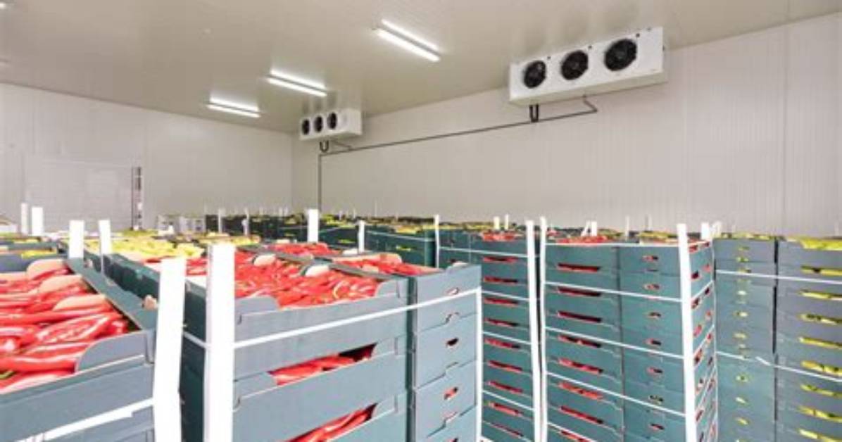 Cold Storage For