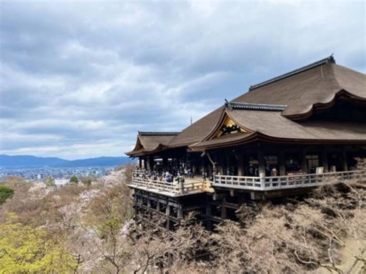 男子学園 京都店の完全ガイド｜アクセス・サービス・特徴を徹底解説
