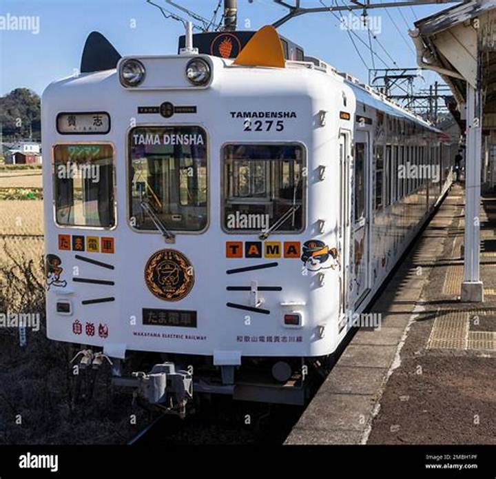 電車で対面に座るJk - 通学ラッシュのリアルとマナーの本音