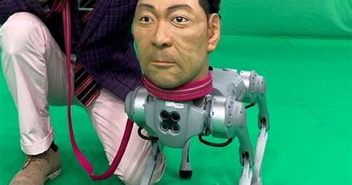 Dokkirigp Bao