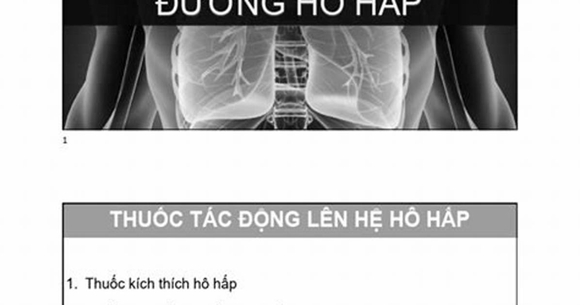 Dong Huamatome He