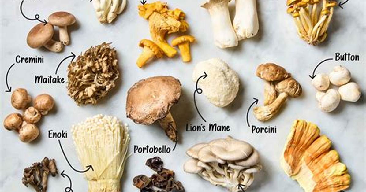 Edible Mushrooms Of
