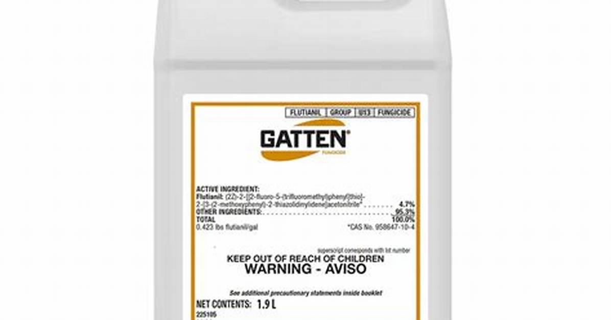 Gatten Liusutoretonekku
