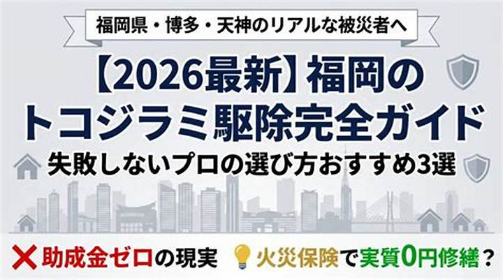グレイル購入品にトコジラミ？実態と対策を徹底解説
