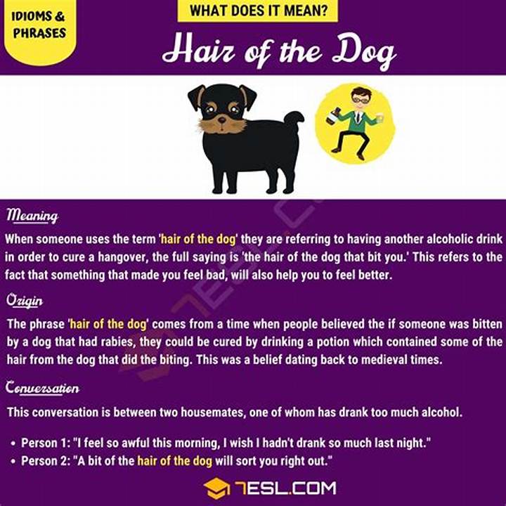 Hair of the Dog: Meaning, Origin, and Safer Ways to Deal with Hangovers