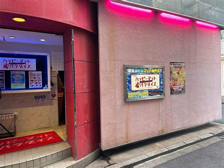 ハッピーマットパラダイス横浜の魅力を徹底解説！子どもも大人も楽しめる遊び場