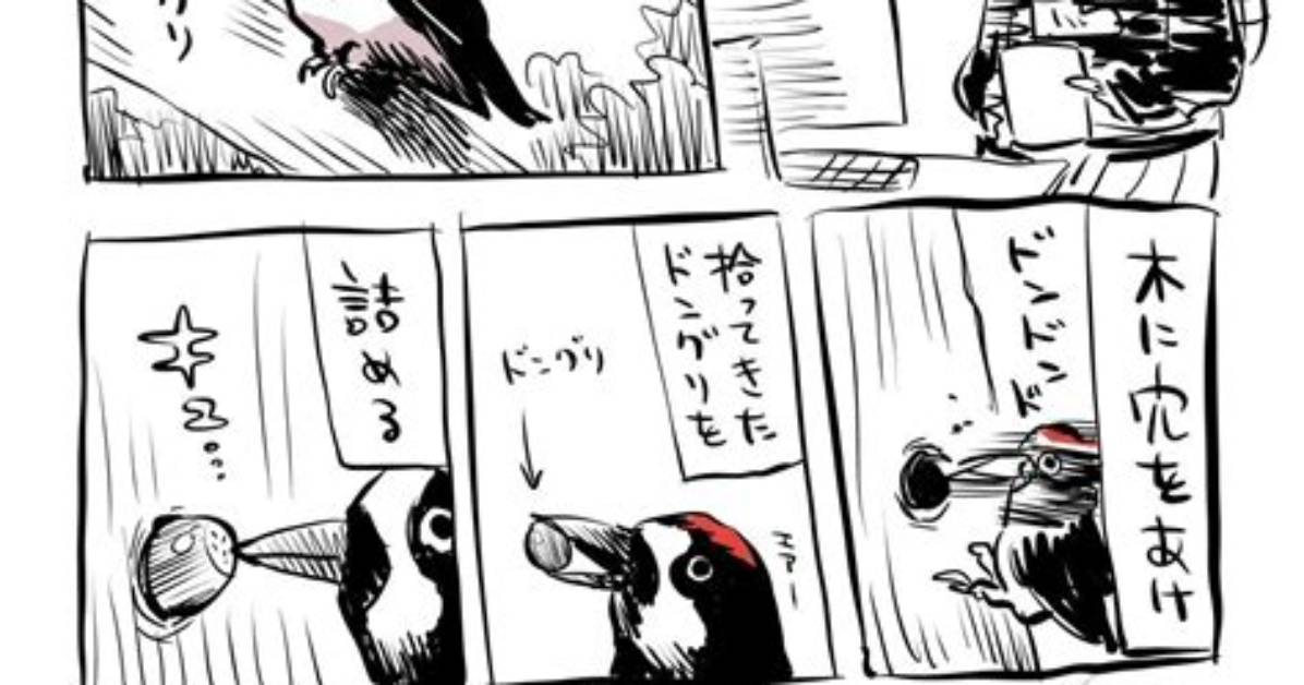 Hasukora No
