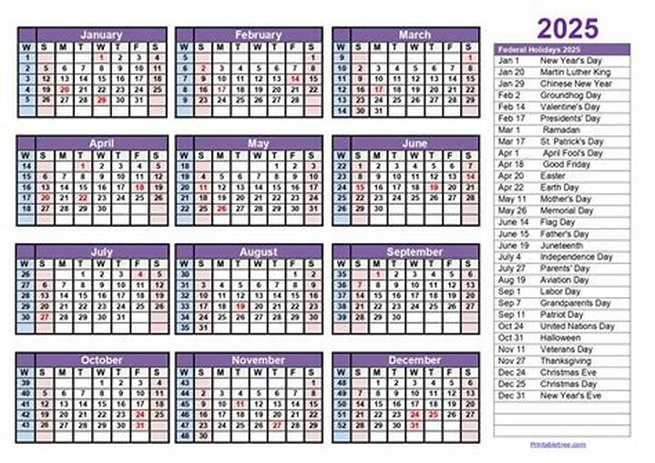 How Many Weeks Are in a Year? a Simple Answer (With Real Details)