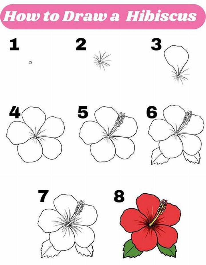 How to Draw a Hibiscus Flower: Step-by-Step for Realistic Results