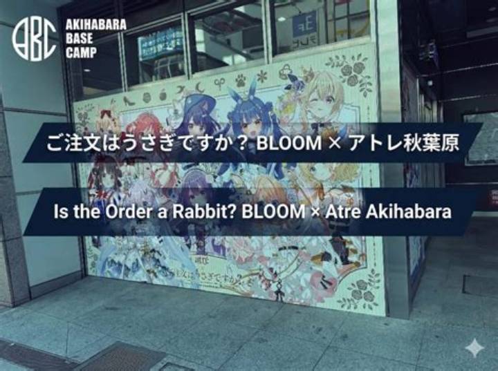 Https: //Www. Adelakun. Org/Akihabara-1/8515025/