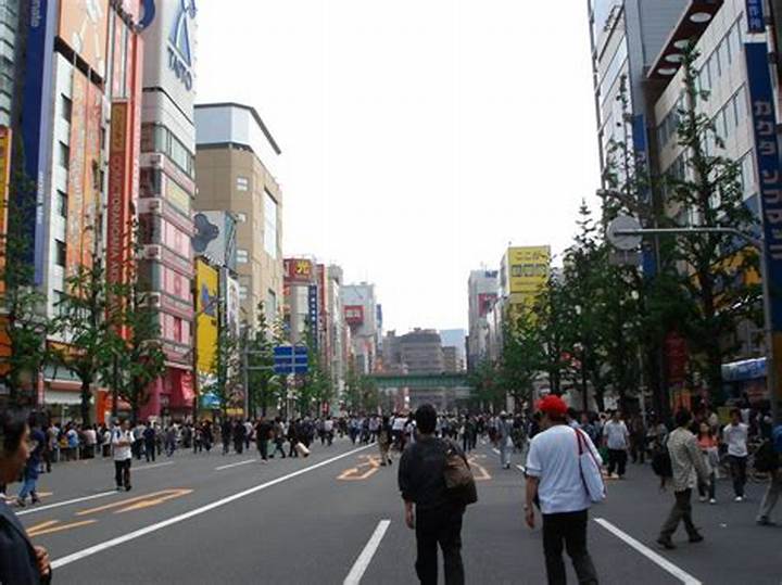 Https: //Www. Adelakun. Org/Akihabara/7329735/