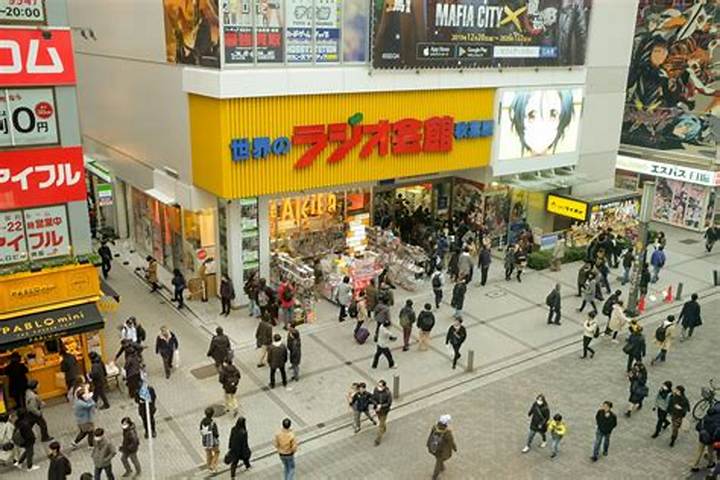 Https: //Www. Adelakun. Org/Akihabara/8852161/