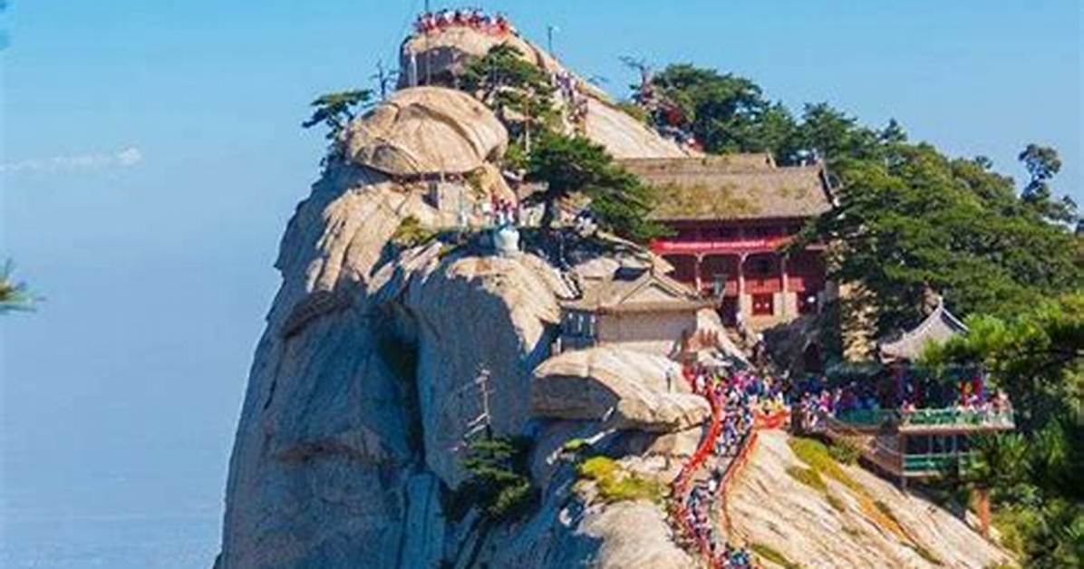 Hua Tinokurippu