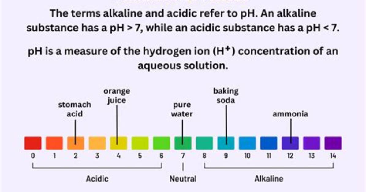 Is Alkaline