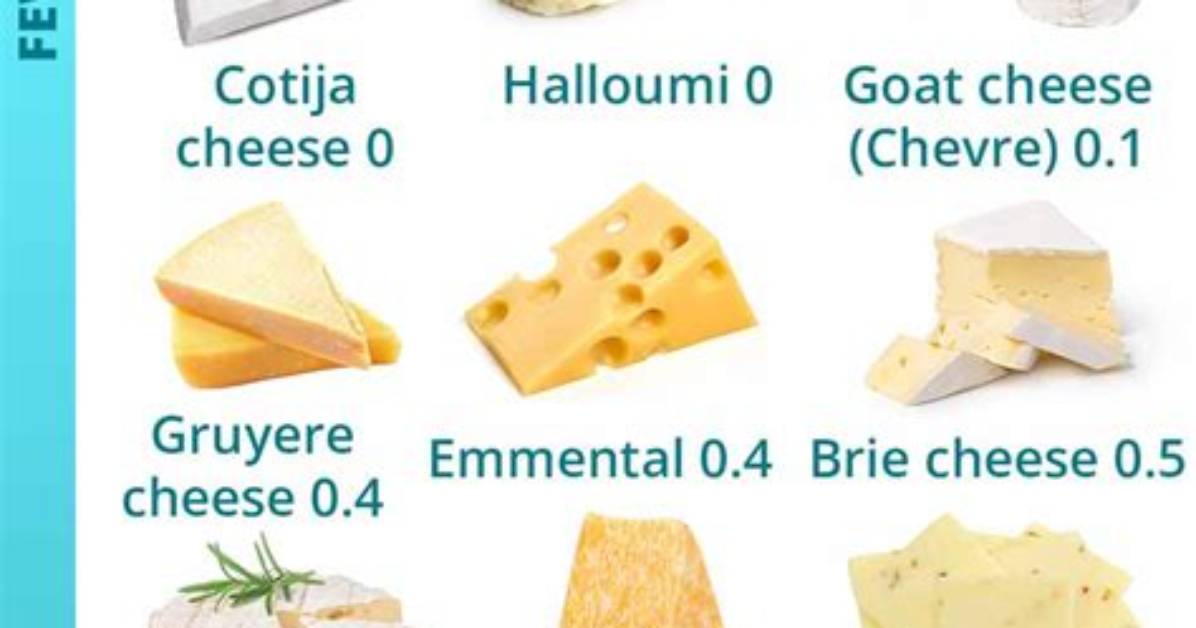 Is Cheese