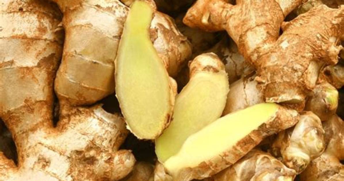 Is Ginger