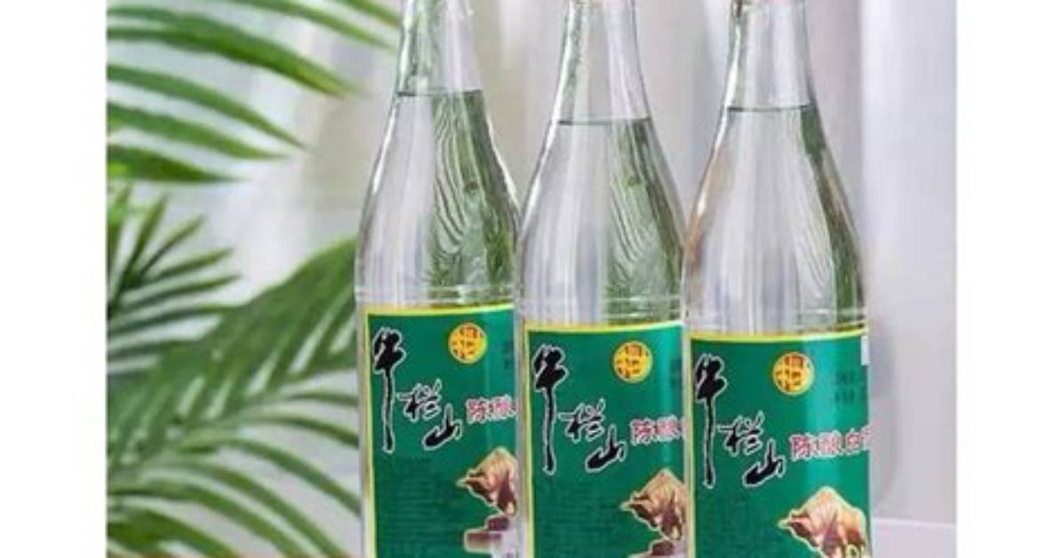 Jiu Shan Er