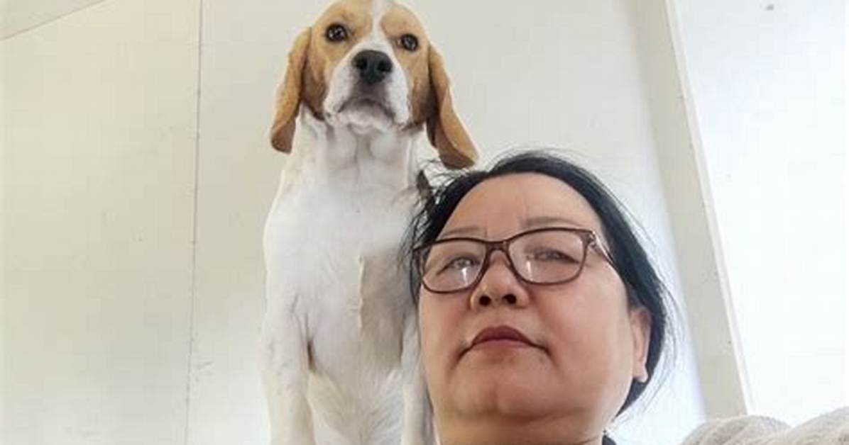 Kan Nu Zui