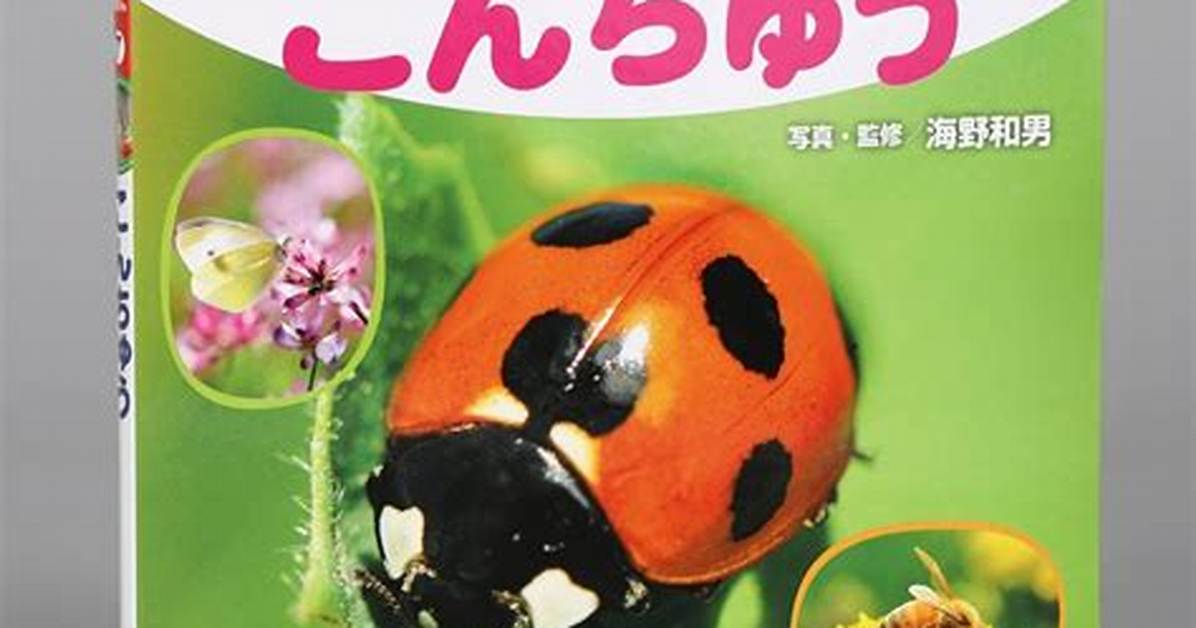 Kodo Buru3 Kyasuto