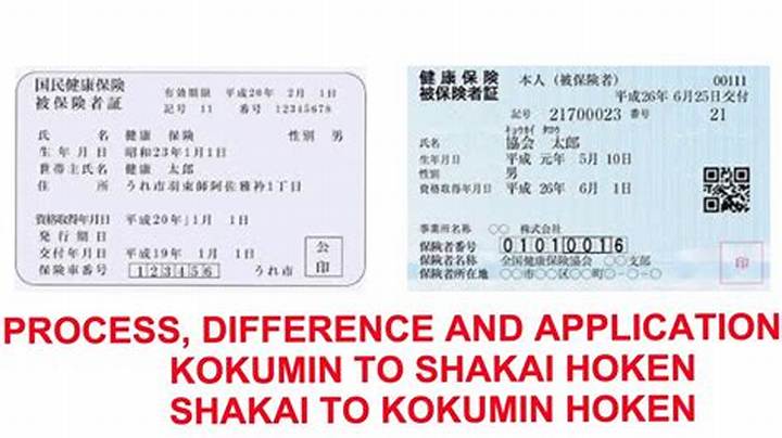 国民健康保険カードの色でわかること｜種類・見分け方を完全解説