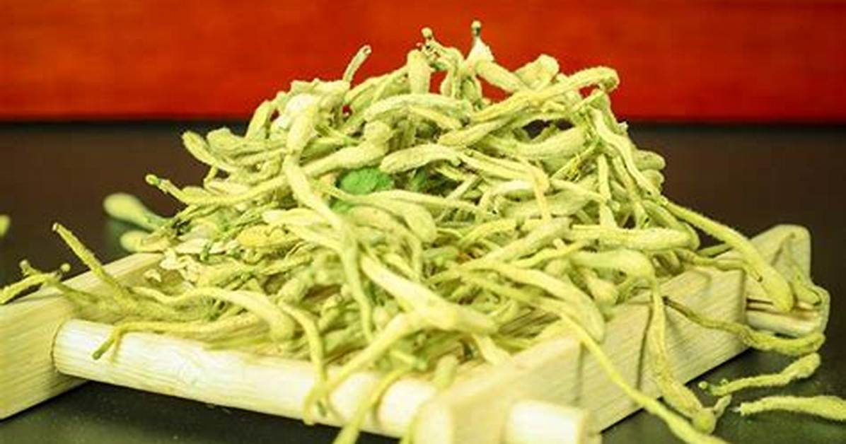 Kuchitamatchino Jin Hua