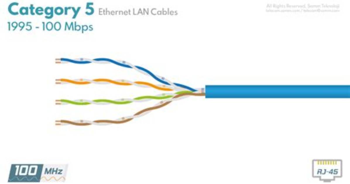 Lan Guts