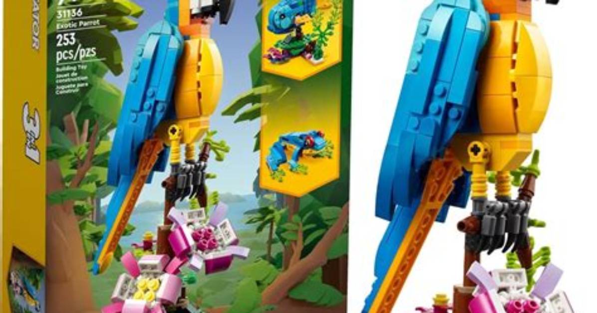 Lego Amazon