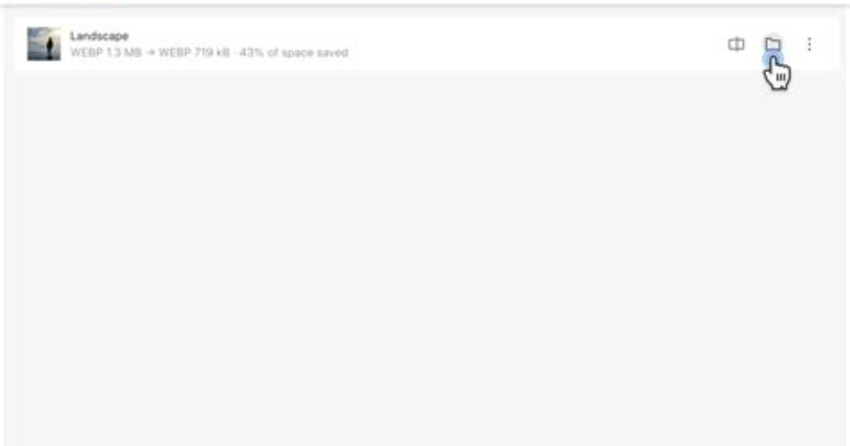 Main. Webp