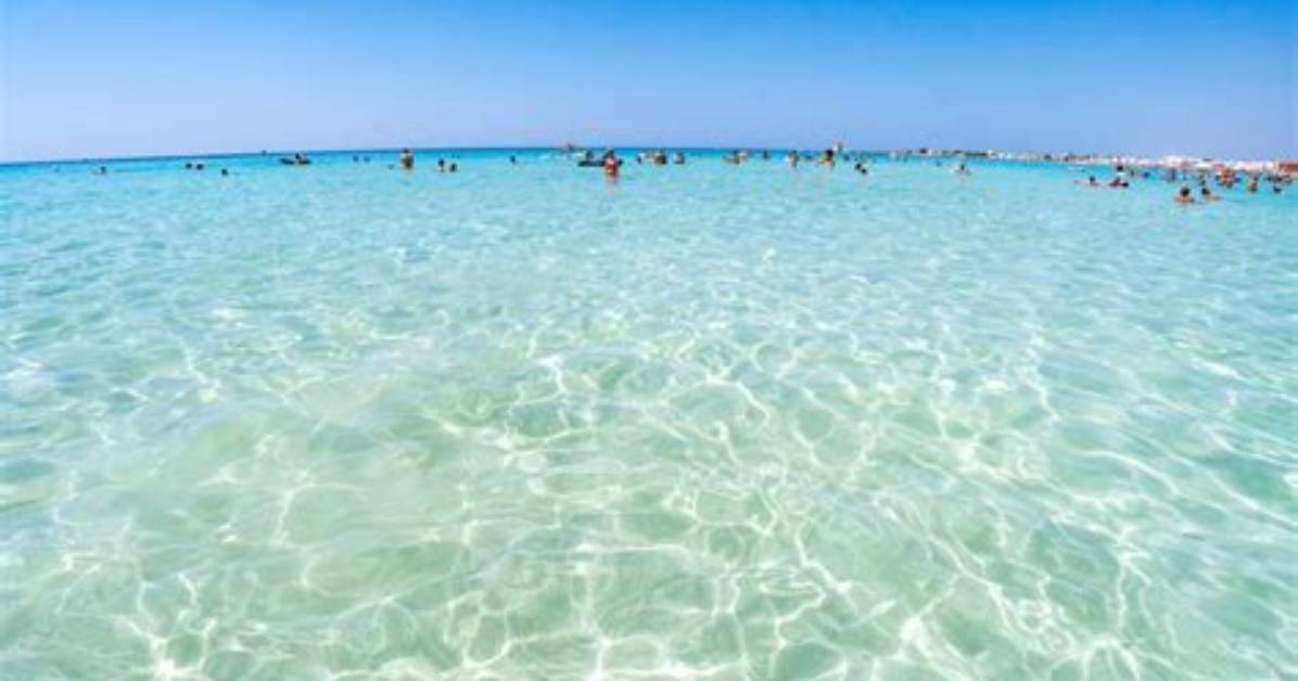 Mare
