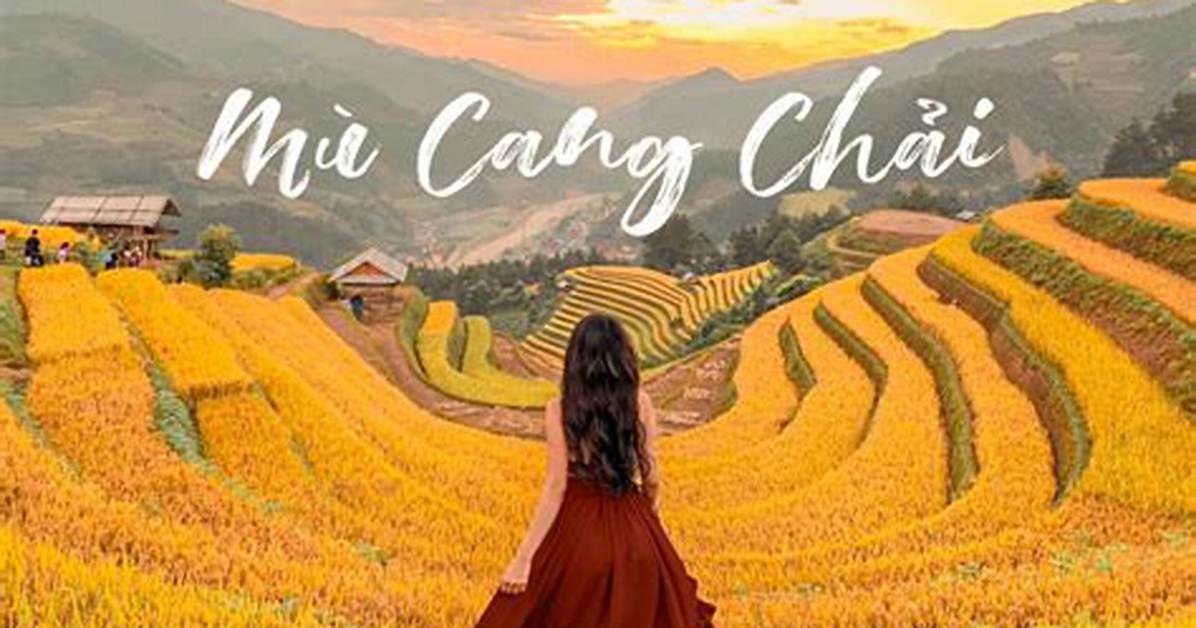 Mi Cang