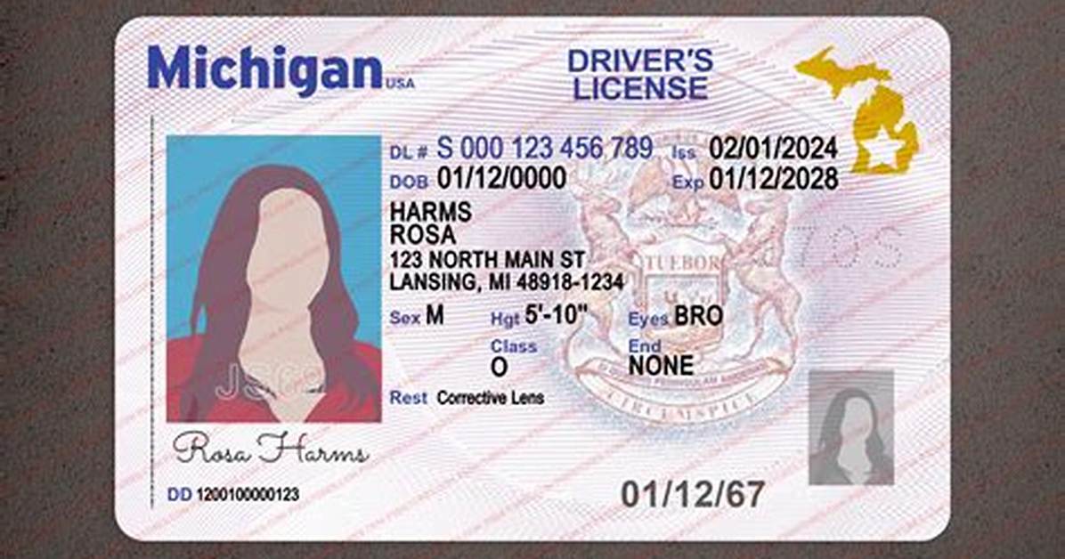 Michigan Driver S