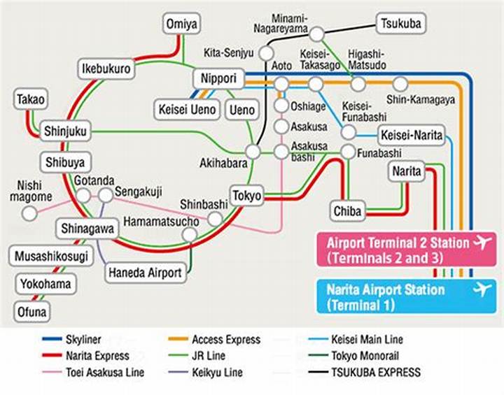日本橋から羽田空港：時間・電車・リムジン別の最短ルート完全ガイド