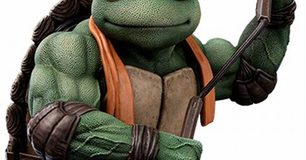 Ninja Turtle And
