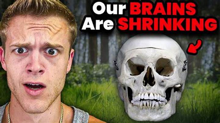 Our Brains Are Shrinking: What We Know, What We Don’t, and Why It Matters