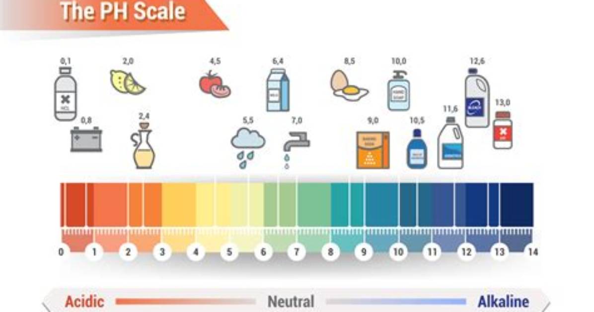 Ph Of