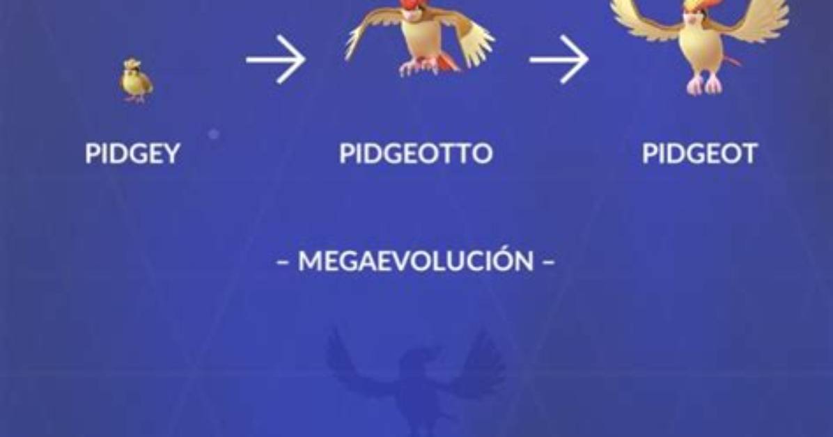 Pigoto