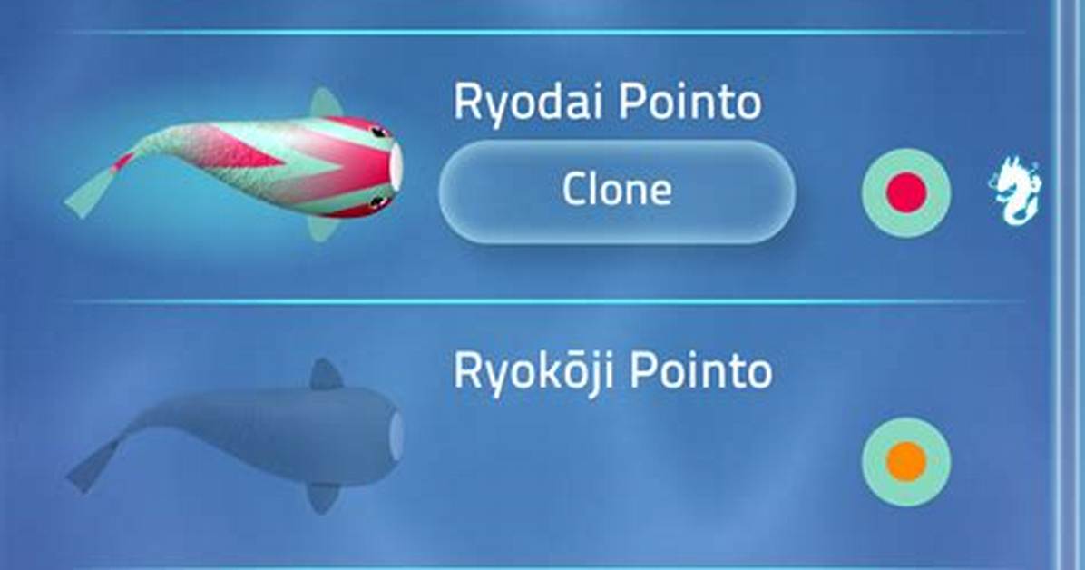 Pointo Hai