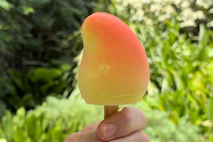 Propitious Mango Ice Cream: Flavor, Making, and Buying Guide