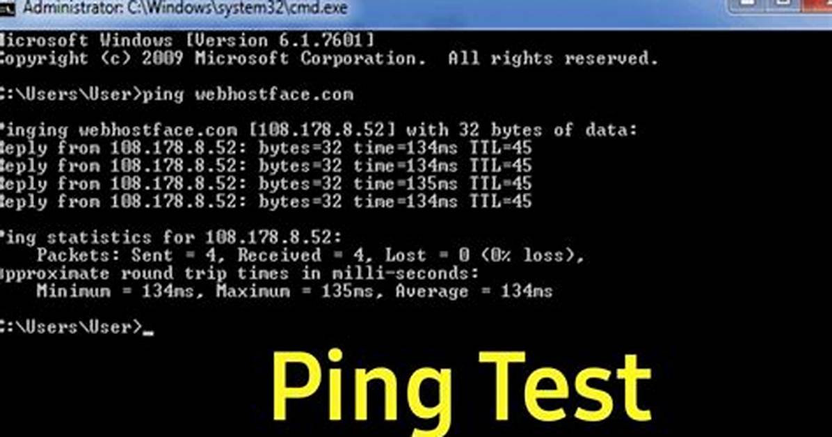 Purinsusumatoinno Ping