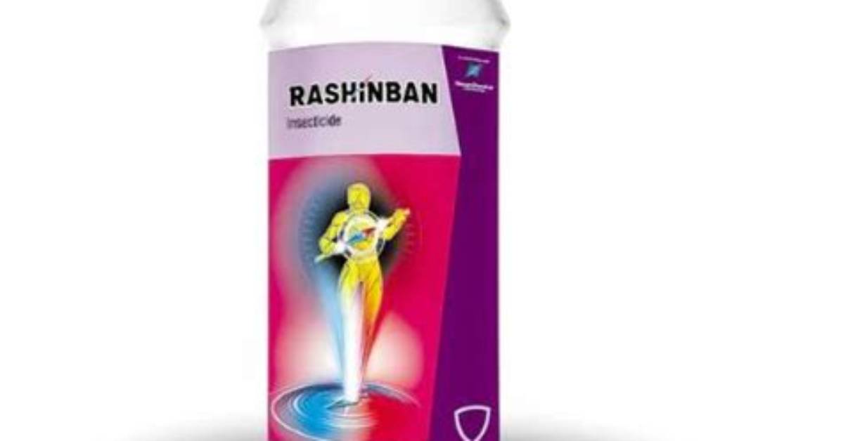 Rashinban Heng