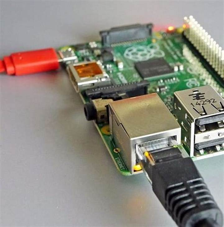 Raspberry: Qué Es, Usos, Beneficios Y Cómo Elegirla En Español