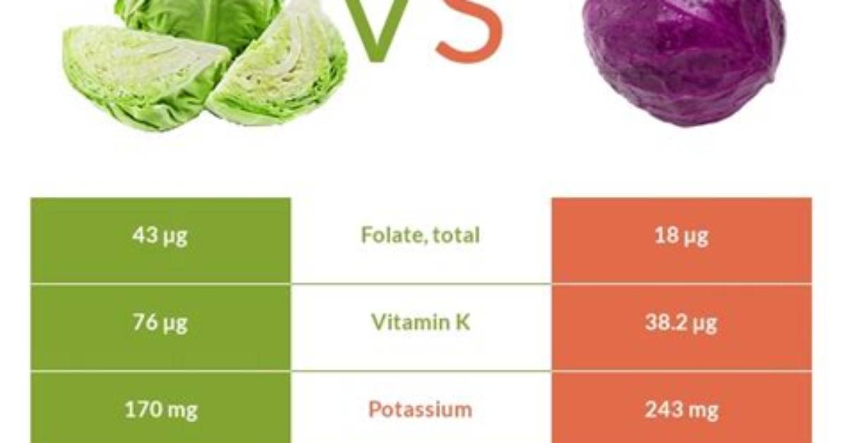 Red Cabbage Vs