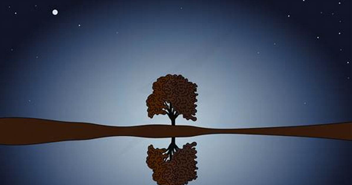Reflection