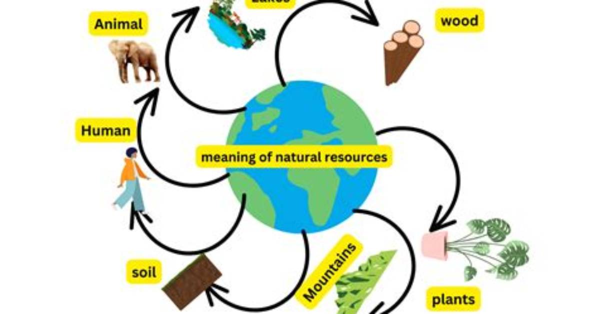 Resource
