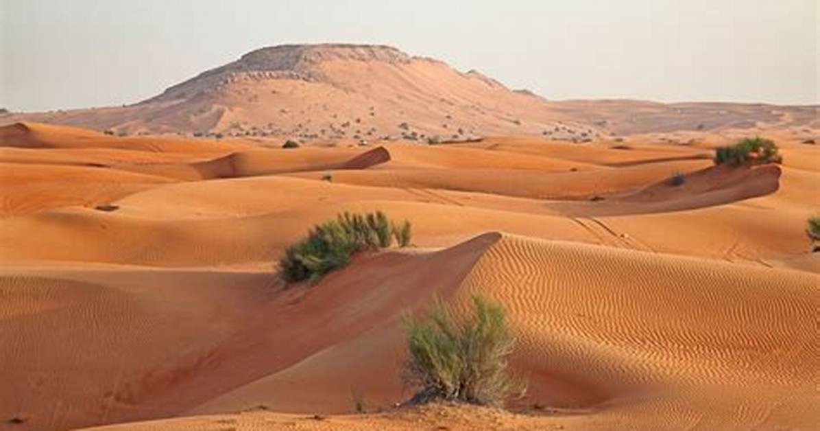 Saudi Arabia
