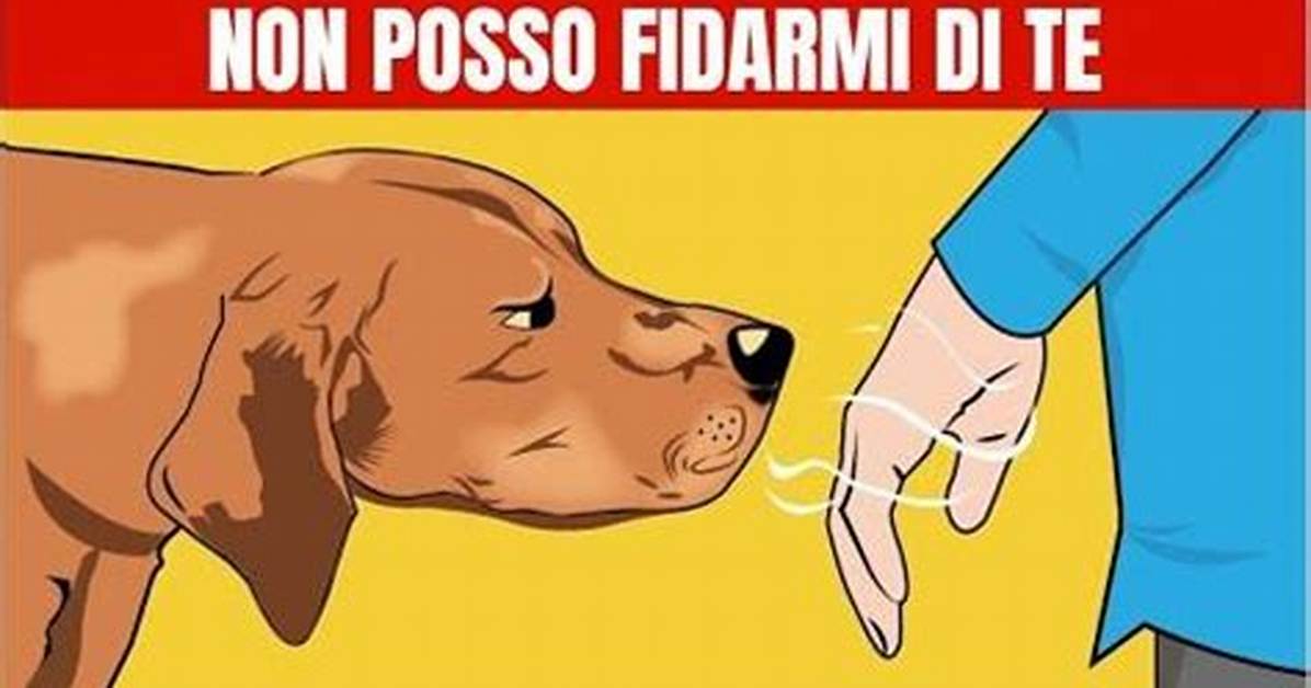 Shi Fanno