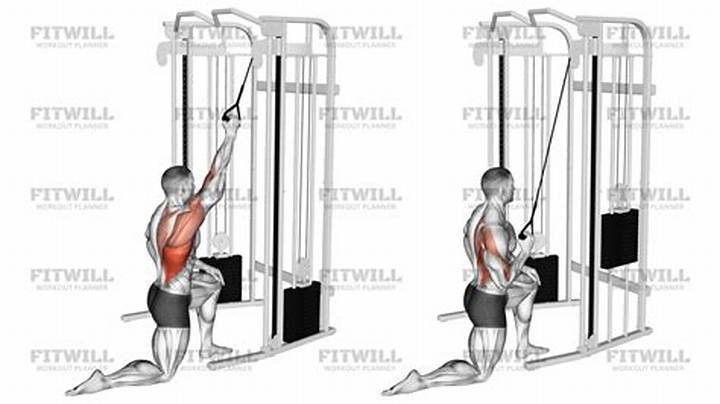 Single Arm Lat Pulldown: Technique, Benefits, and Programming