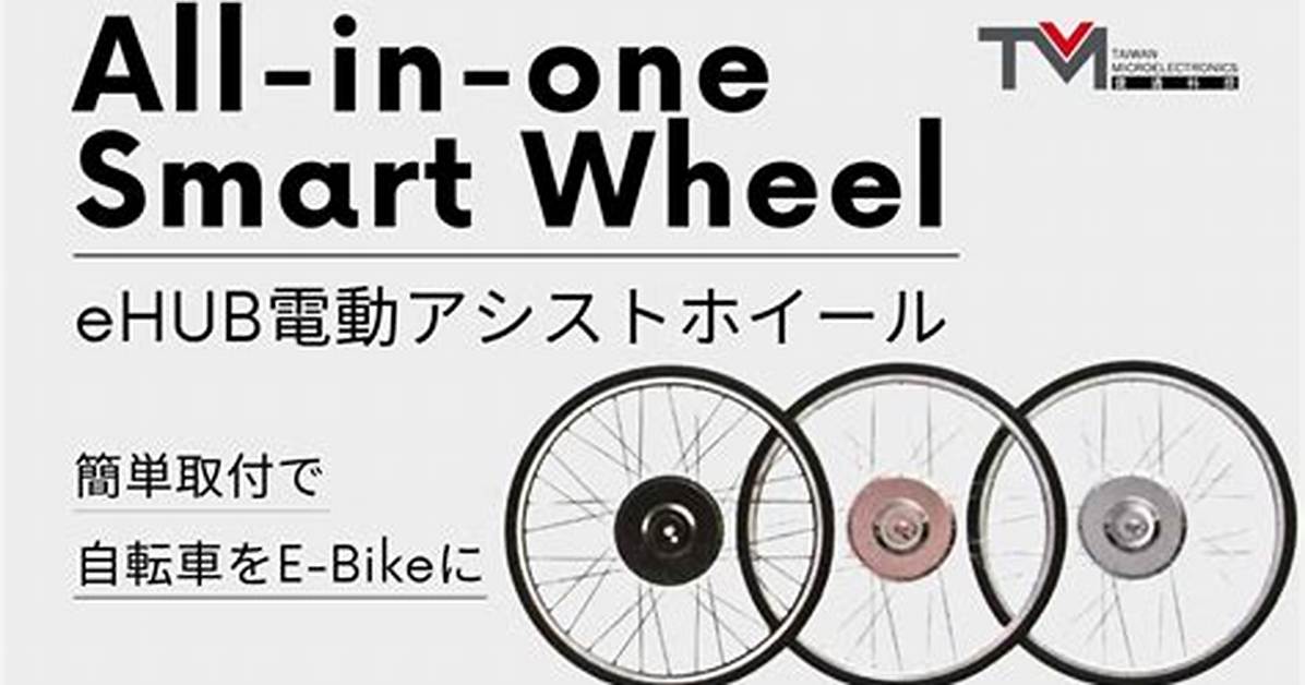 Smart Wheel One